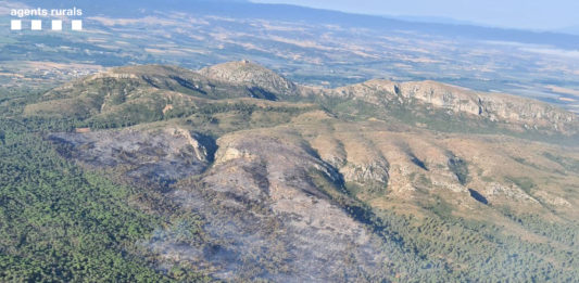 Incendi del massís del Montgrí des de l'aire - Agents Rurals