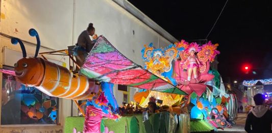 Rua de Carnaval de Sant Feliu de Guíxols. Maria Alsina