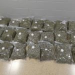 privat:-enxampen-un-home-amb-20-kg-de-marihuana-a-llers-valorada-en-mes-de-37.000-euros