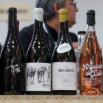 privat:-el-barcelona-wine-week-creix-un-38%-en-espai-per-reunir-1.266-expositors-en-l’edicio-mes-gran-de-la-seva-historia